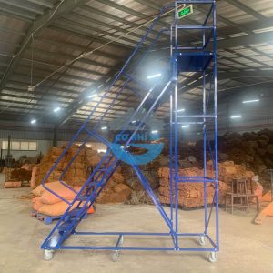 Alternative view of Xe thang di động cao 2000mm